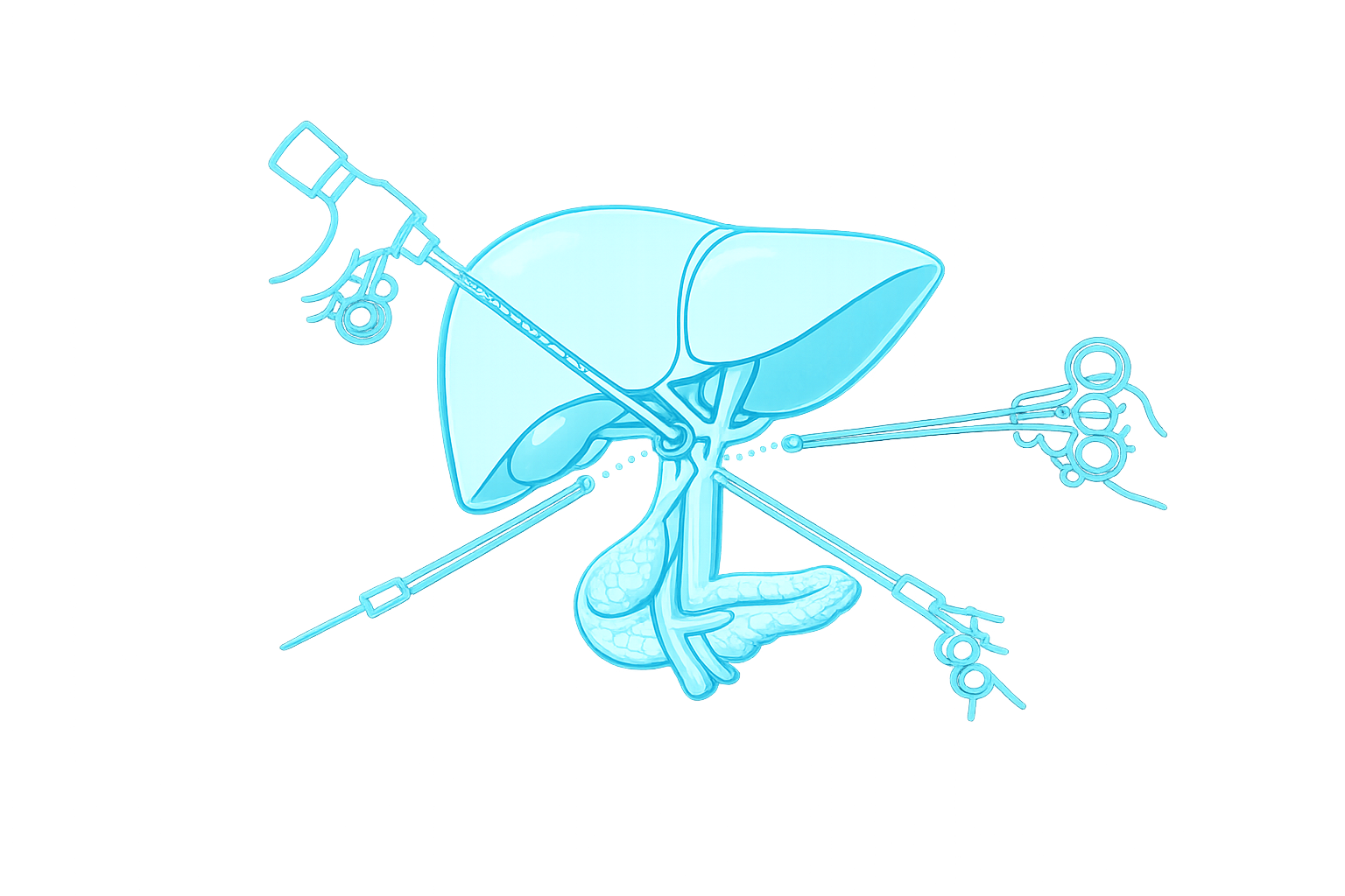 Hepatobiliary Surgery icon